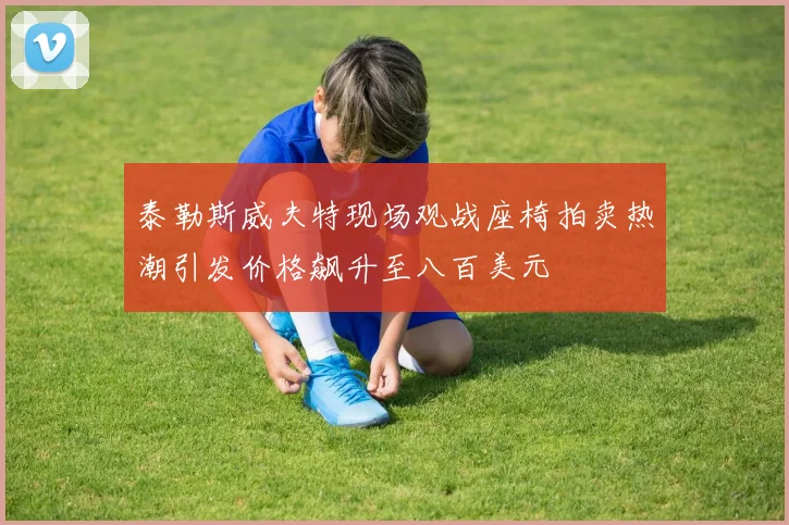 泰勒斯威夫特现场观战座椅拍卖热潮引发价格飙升至八百美元