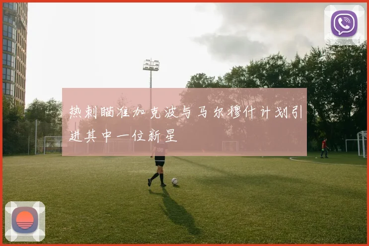 热刺瞄准加克波与马尔穆什计划引进其中一位新星