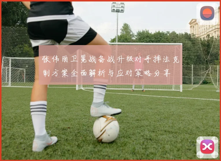 张伟丽卫冕战备战升级对手摔法克制方案全面解析与应对策略分享